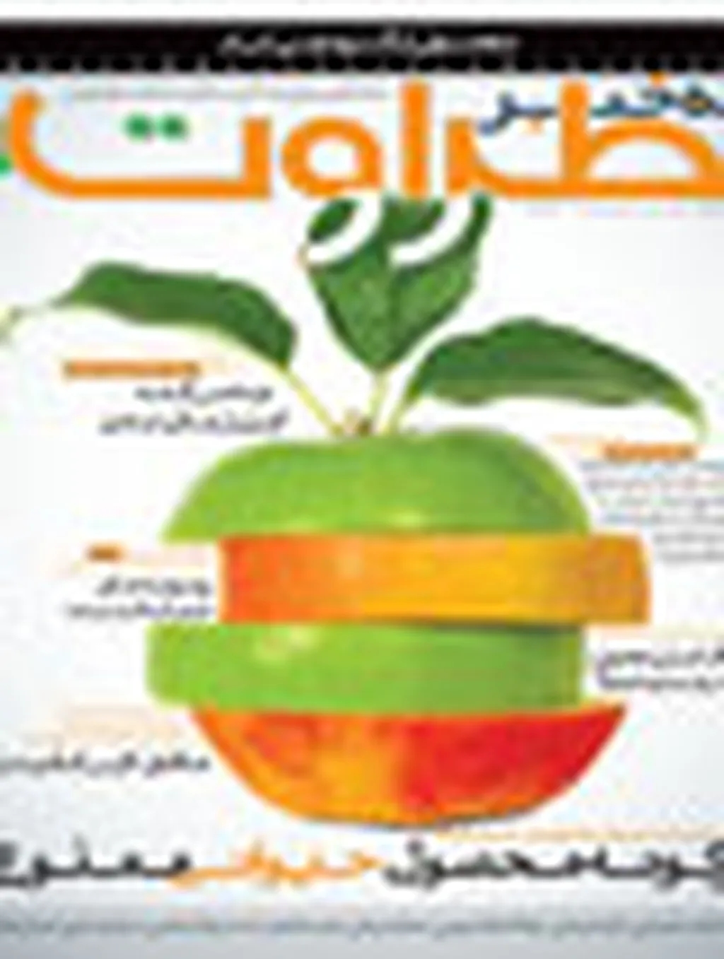 ماهنامه طراوت 3 منتشر شد