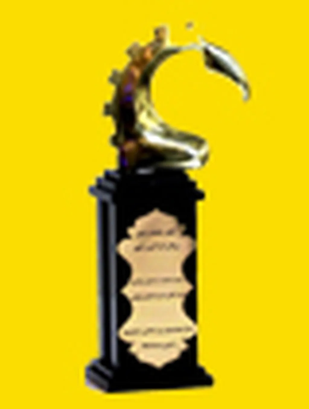 تقدیر از ایرانسل در همایش ملی بزرگان کارآفرین کشور