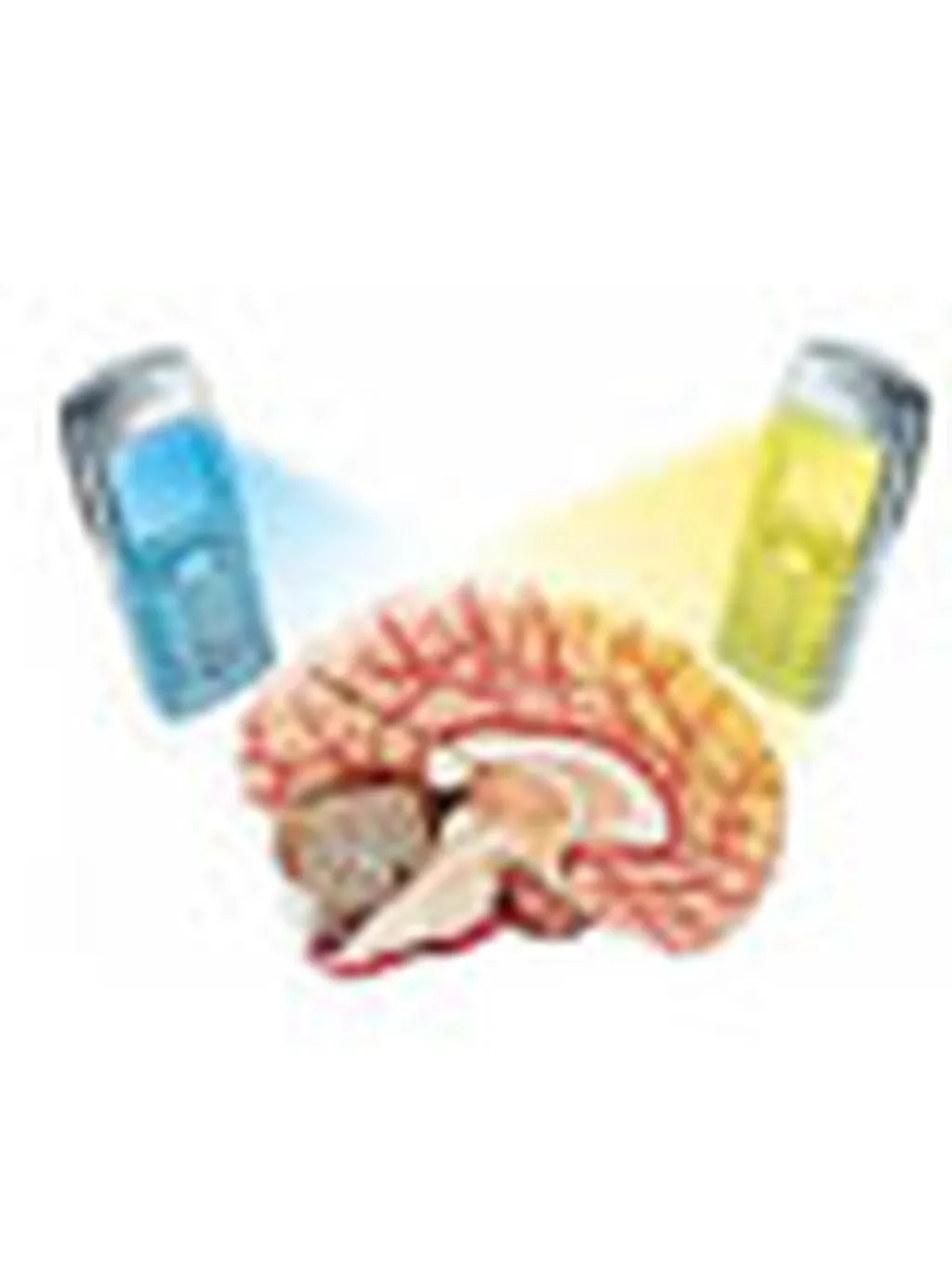 در همايش بررسي ايمني تشعشع در شبكه‌ي تلفن همراه تشريح شد: تاثير پرتوهاي راديويي - مايكروويو بر بدن انسان    