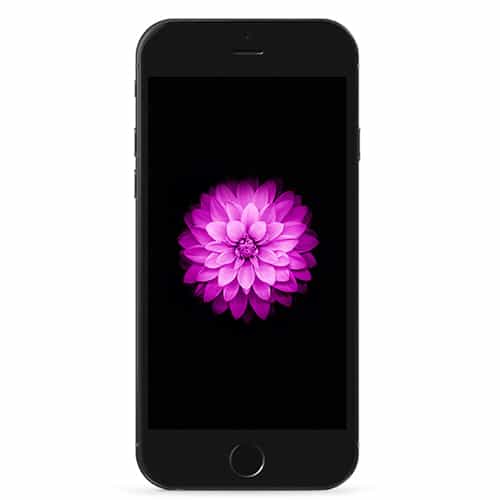 اپل آیفون 6