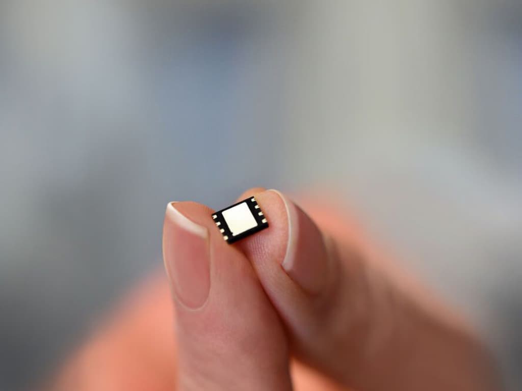 esm-chip.jpg