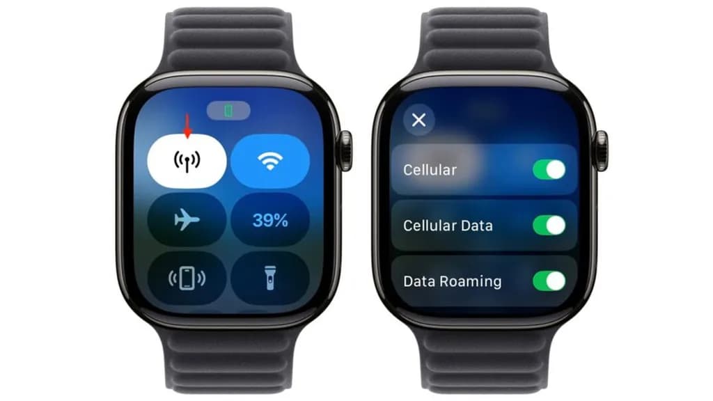 apple watch\
