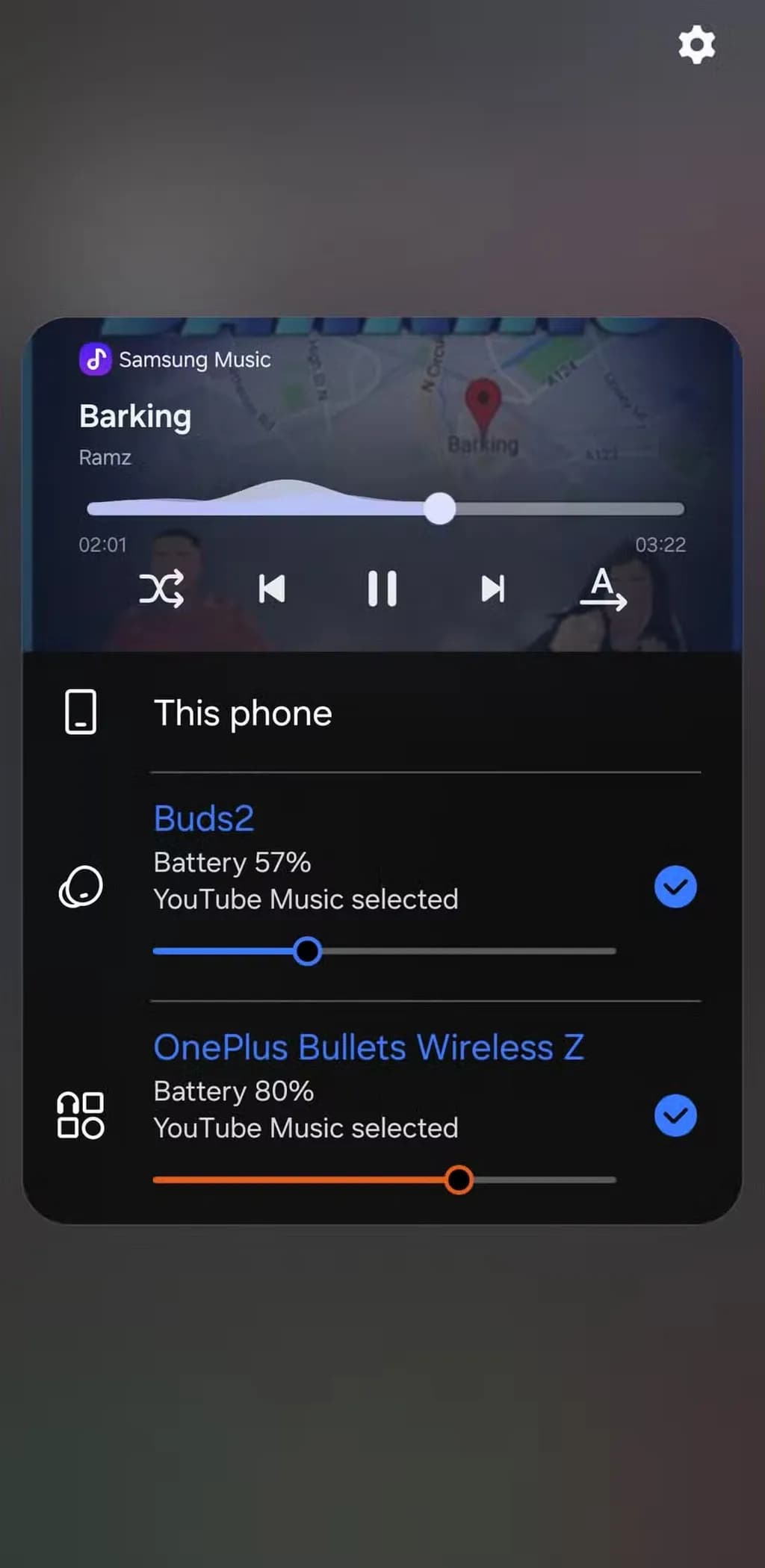 Dual Audio