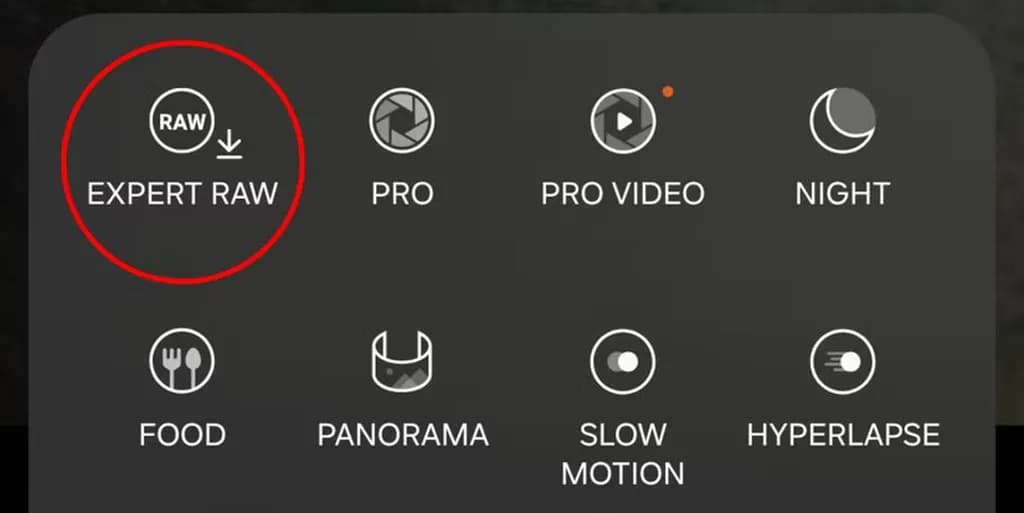 Expert RAW