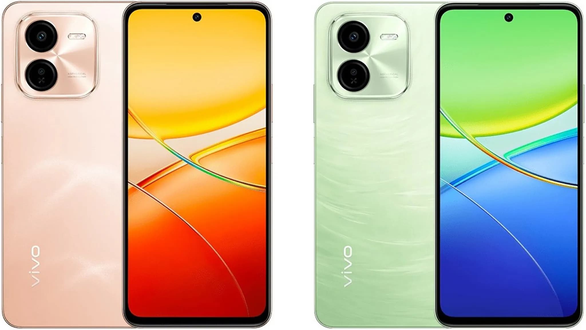 vivo 2.jpg