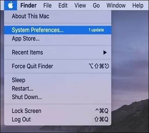 select system preference.jpeg