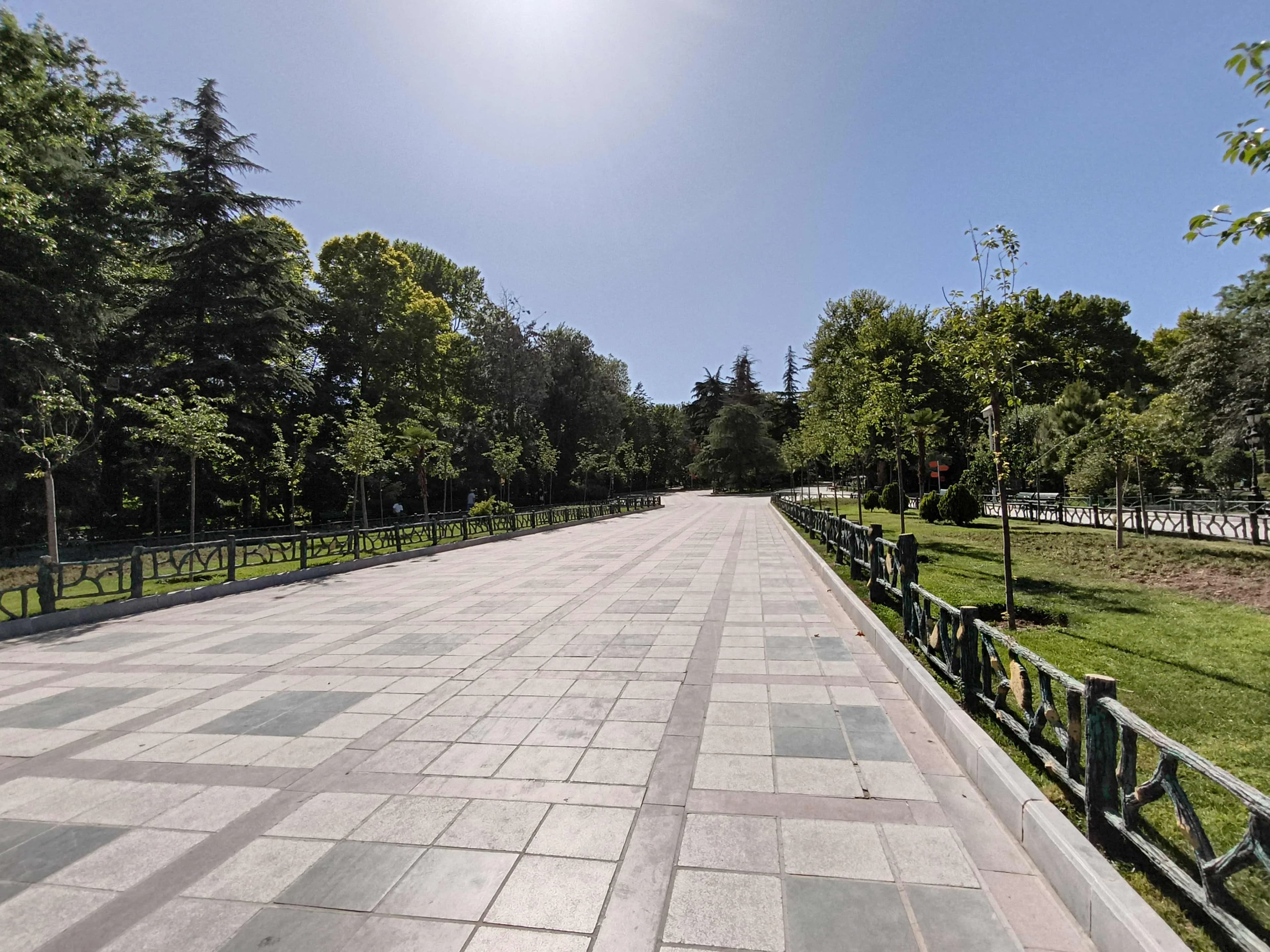 عکس دوربین اولترا‌واید گوشی داریا باند ۲-۱