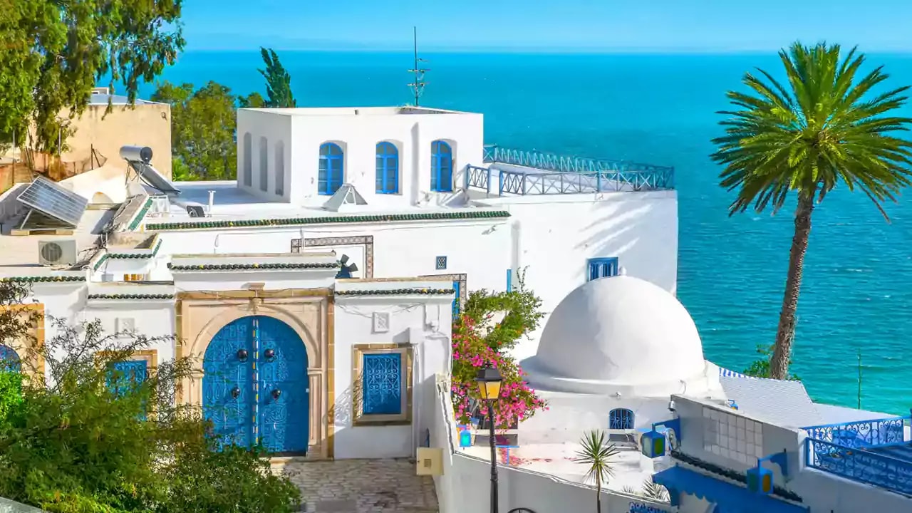 هجوم مسافران به تور تونس در پاییز ۱۴۰۴!