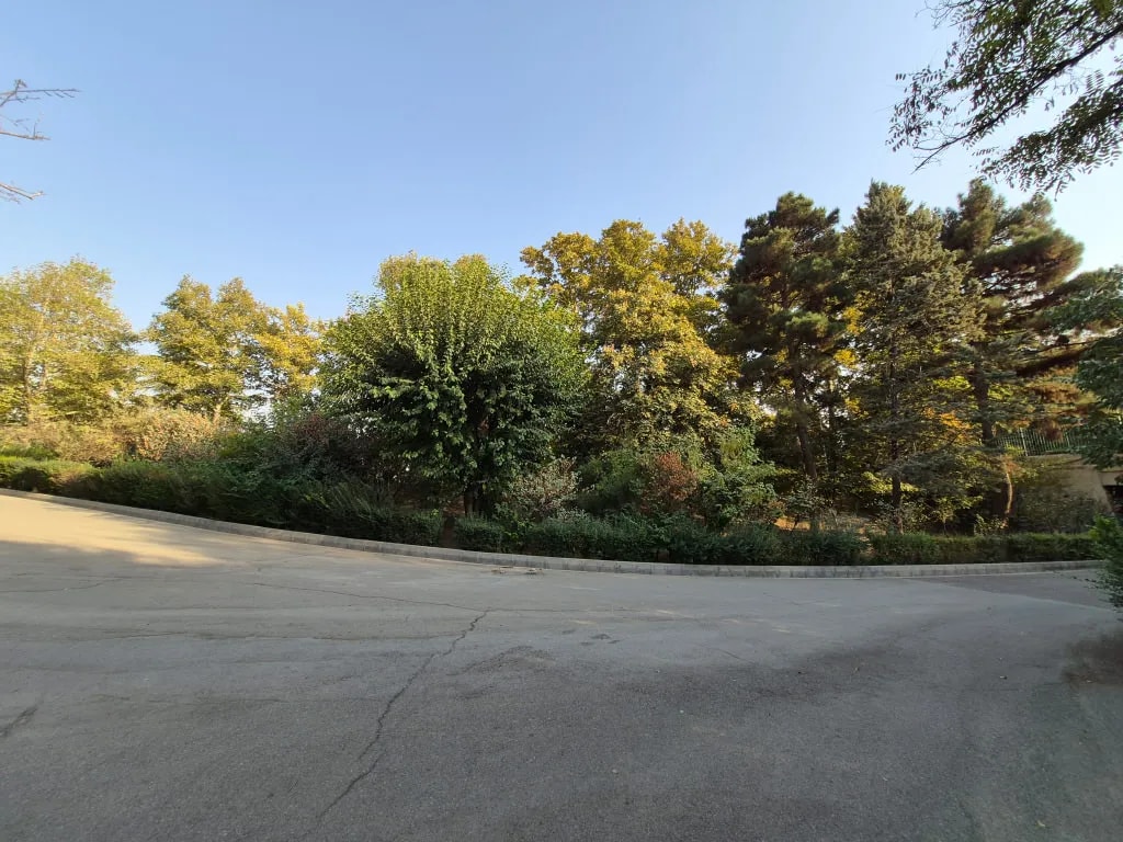 نمونه گرفته شده با دوربین اولتراواید با گوشی Galaxy S25 FE در روز