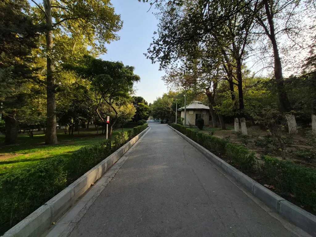 دوربین اصلی اس ۲۵ اف ای