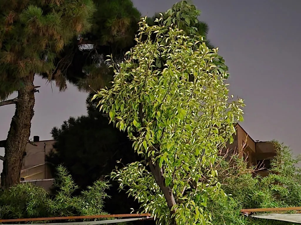 نمونه گرفته شده با دوربین تله‌فوتو گوشی Galaxy S25 FE در شب