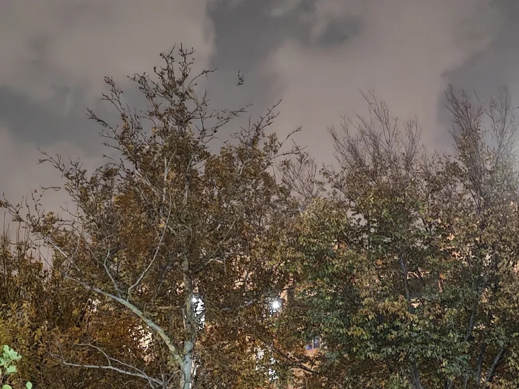 دوربین اصلی آنر ۴۰۰ پرو در شب