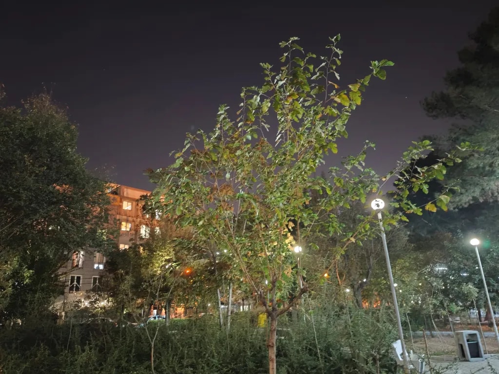 نمونه گرفته شده با دوربین اصلی پوکو اف ۷ پرو در شب