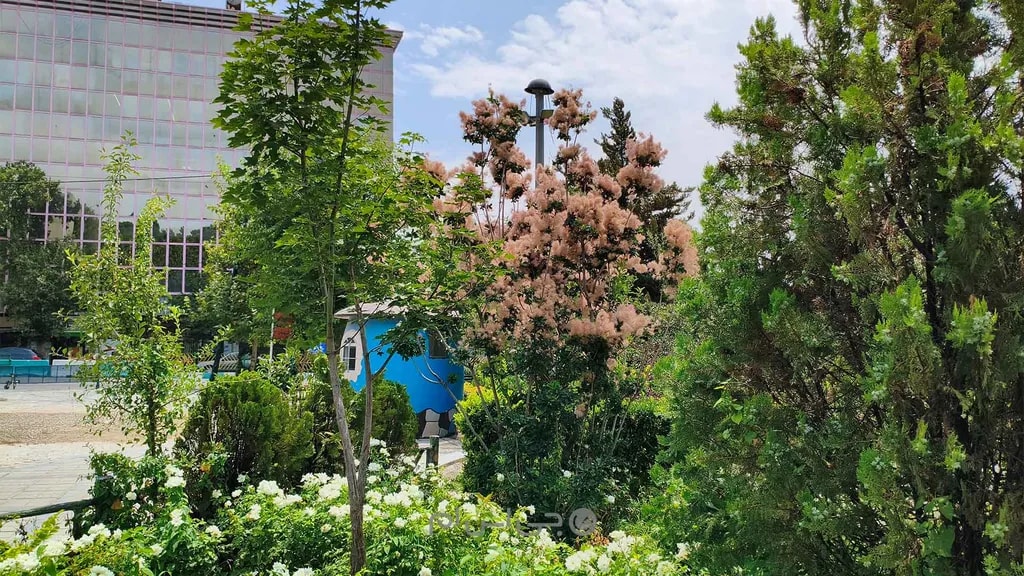 نمونه تصویر ۱۰ دوربین اصلی پوکو ایکس ۷ پرو