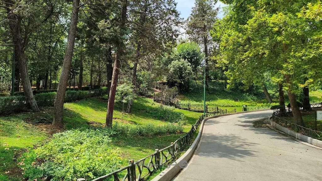 نمونه تصویر ۵ دوربین اصلی پوکو ایکس ۷ پرو