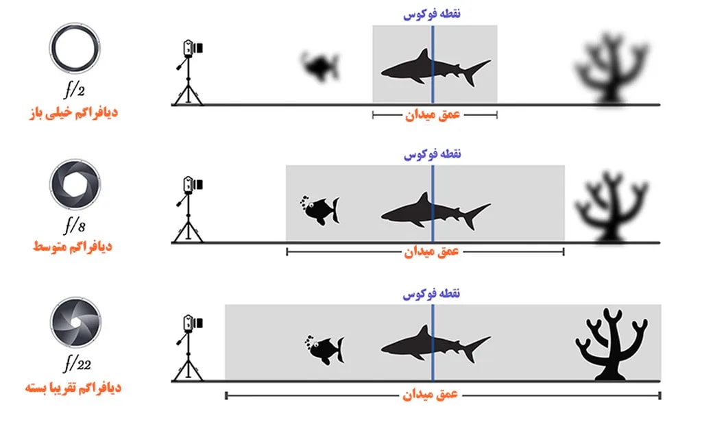این تصویر، تاثیر میزان گشودگی روزنه دیافراگم بر عمق میدان را نشان می‌دهد. در هر سه حالت، سایر تنظیمات دوربین و همچنین فاصله نقطه فوکوس تا دوربین یکسان است و فقط میزان گشودگی دریچه دیافراگم فرق می‌کند. هرچه روزنه دیافراگم بازتر باشد، عمق میدان (ناحیه‌ی وضوح عکس) کاهش می‌یابد. با کاهش قطر روزنه دیافراگم، عمق میدان بیشتر می‌شود. 