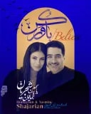 موزیک «باور کن» از یاسمین و همایون شجریان با حمایت رسمی جی‌اس‌ام منتشر شد