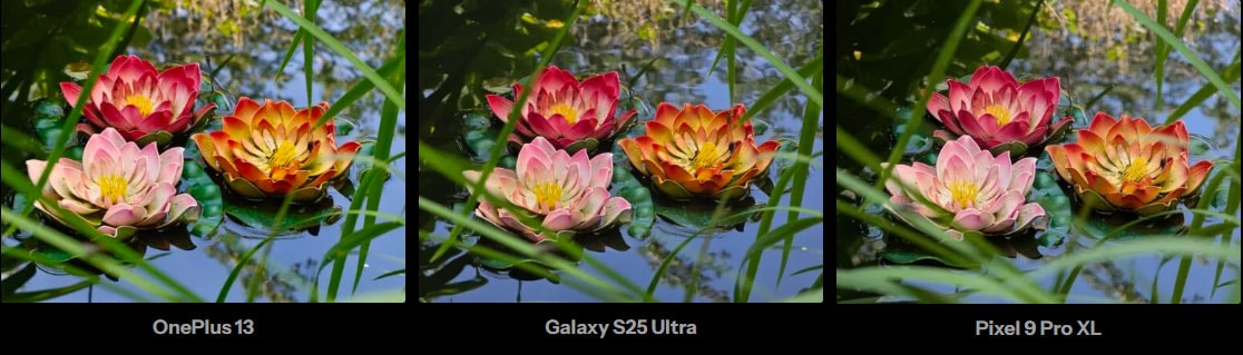 OnePlus 13 vs Pixel 9 Pro XL and Galaxy S25 Ultra