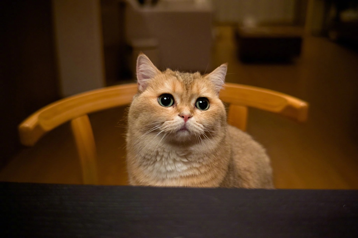 نمونه تصویر با ماژولار شیائومی