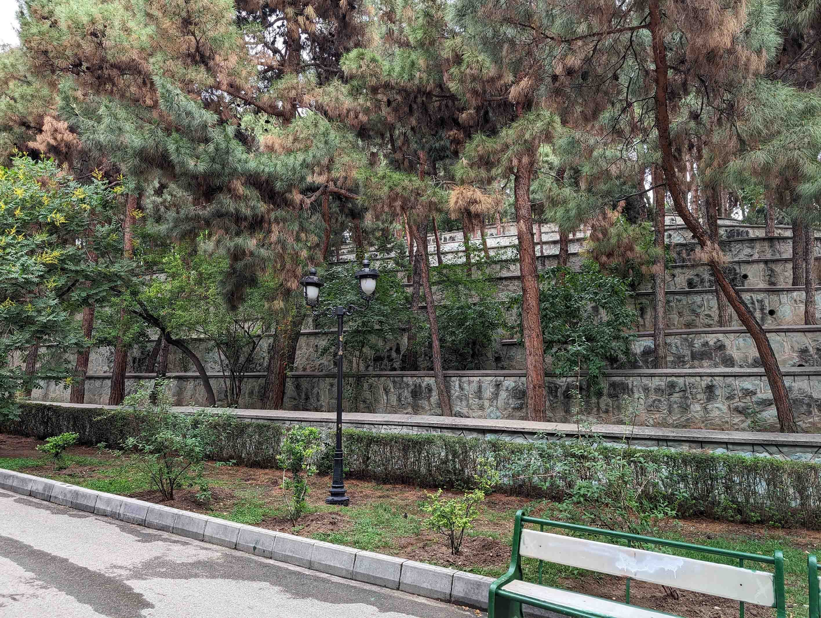 pixel day standard copy.jpg