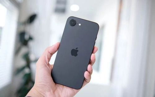 آیفون 15 یا آیفون 16e؟ با تفاوتهای دو گوشی ارزانتر اپل آشنا شوید