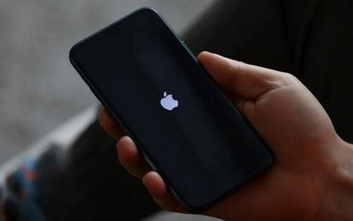 نمایش پشت سر هم لوگوی اپل موقع روشن شدن آیفون به چه معناست؟