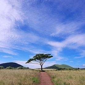 نمونه عکسهای گرفته شده با دوربین گلکسی نوت 7