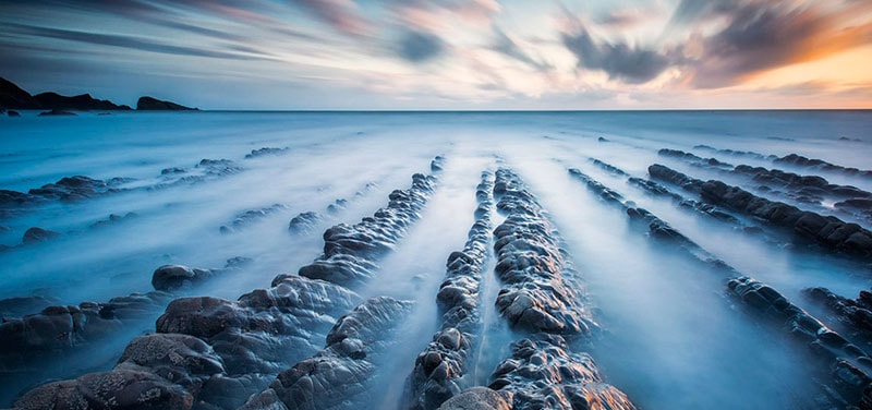 عکس 1. عکس از Ross Hoddinott، تارنمای naturettl.com