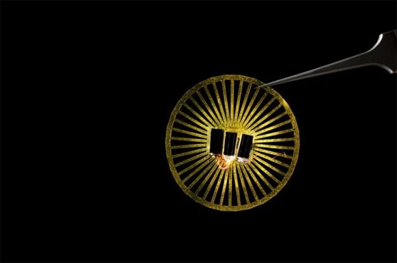 تصویر 1. این ریزقطعه که با اقتباس از قاصدک واقعی ساخته شده است، برای تامین برق اجزای الکترونیکی خود، بهجای باتری از صفحههای ریز خورشیدی بهره میبرد. در این نمونه، مستطیلهای سیاه در مرکز قطعه، همان صفحههای خورشیدی هستند. (عکس از مارک استون / دانشگاه واشنگتن)