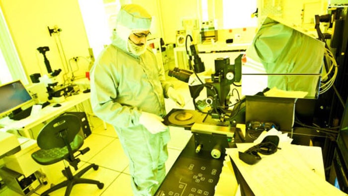 عکس، تزیینی است.