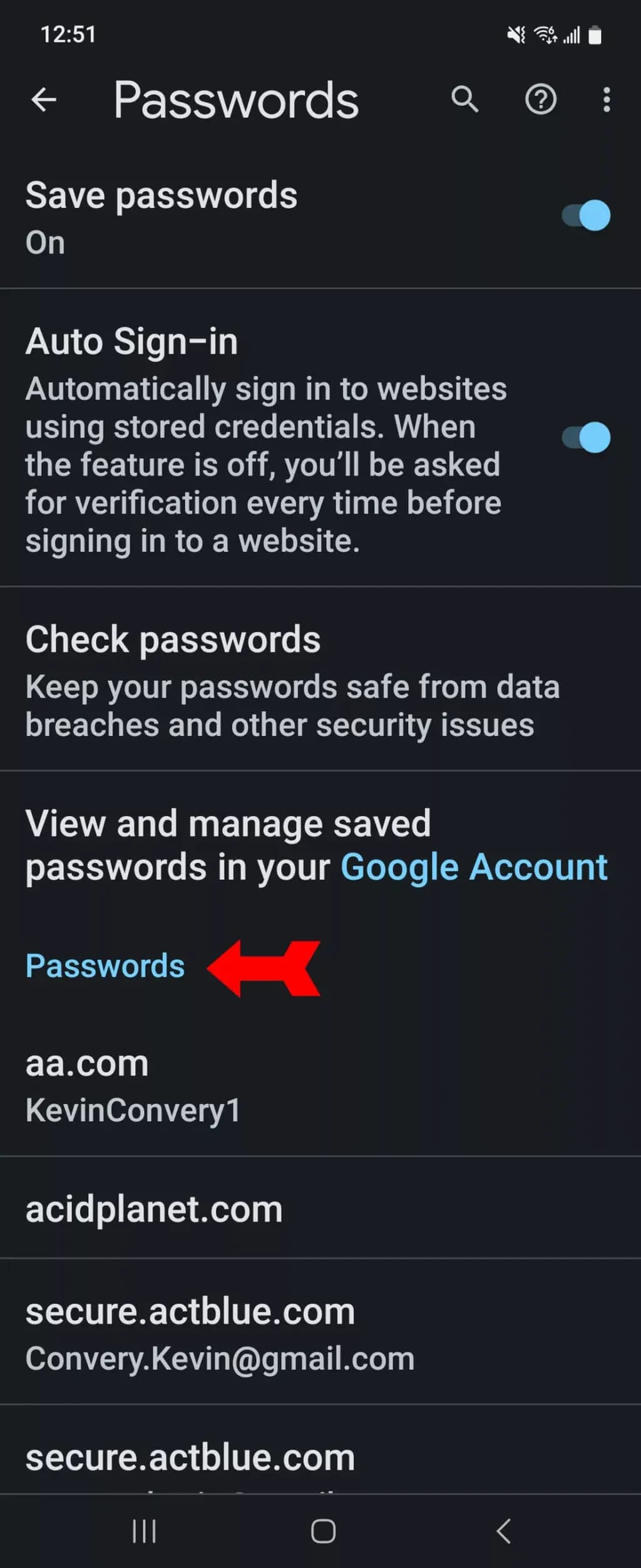 Saved-Passwords-Passwords-Page-1000w-2444h.jpg.webp
