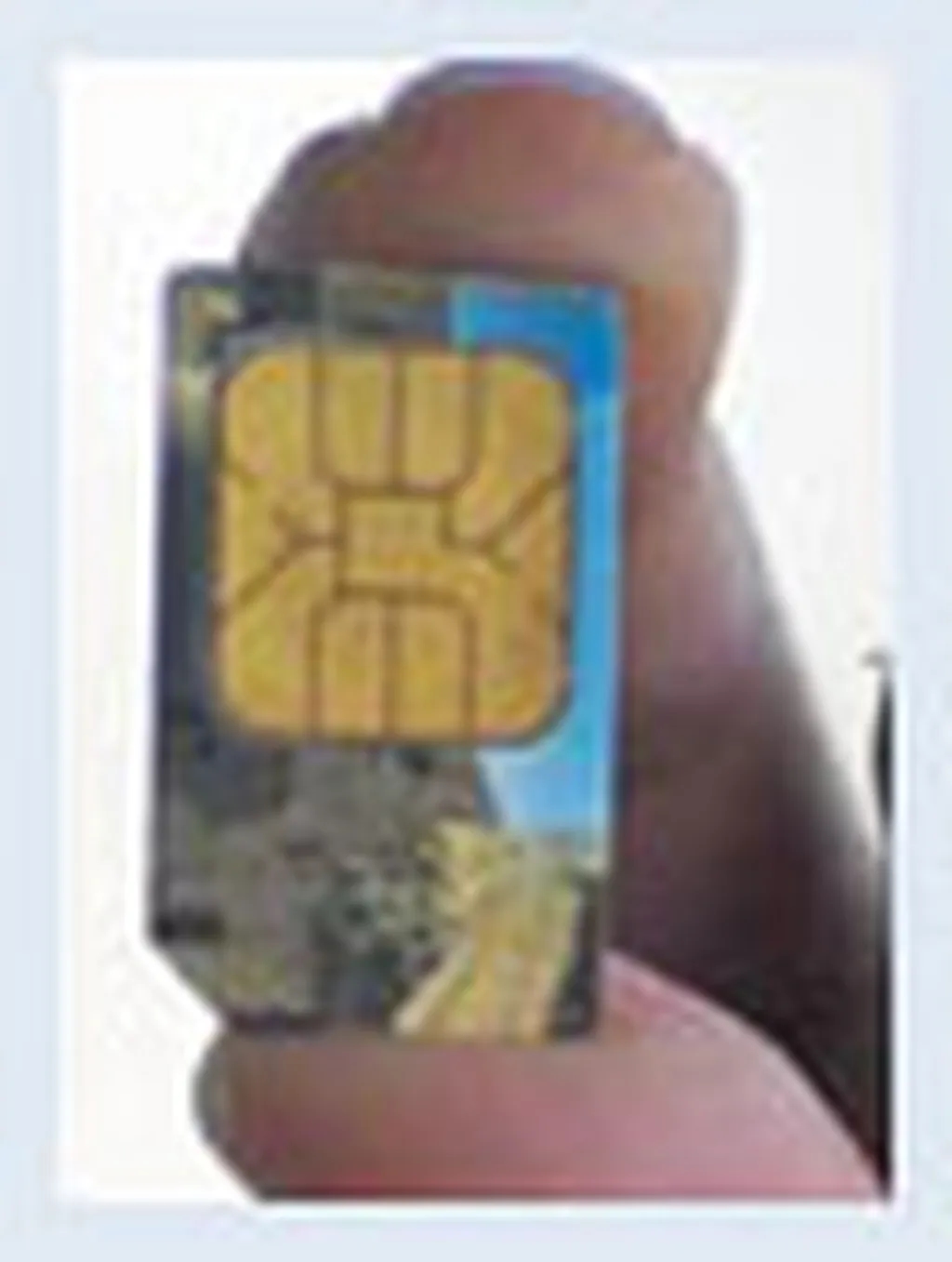 بهای سیمکارت امروز ثابت ماند