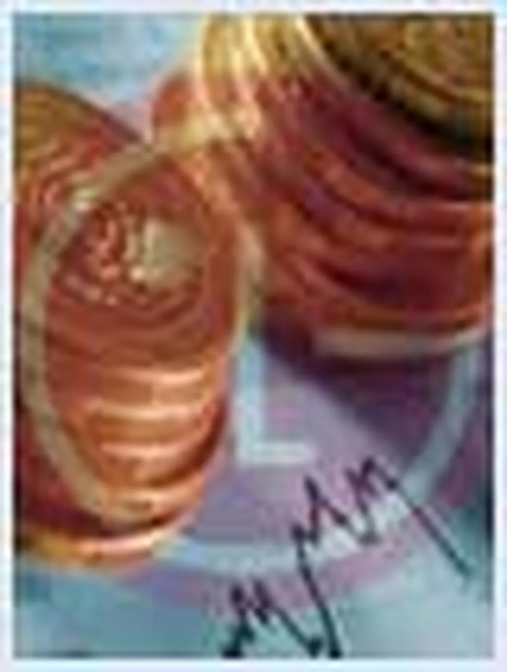 حضور رضایتبخش الجی در اولین فصل مالی 2010