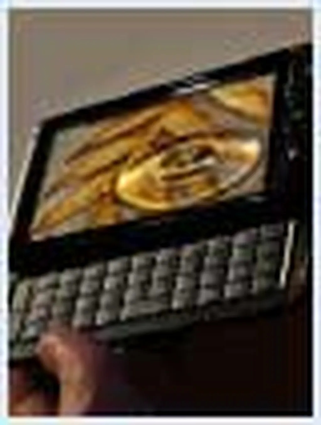 درباره یوزپلنگ الجی چه میدانید؟