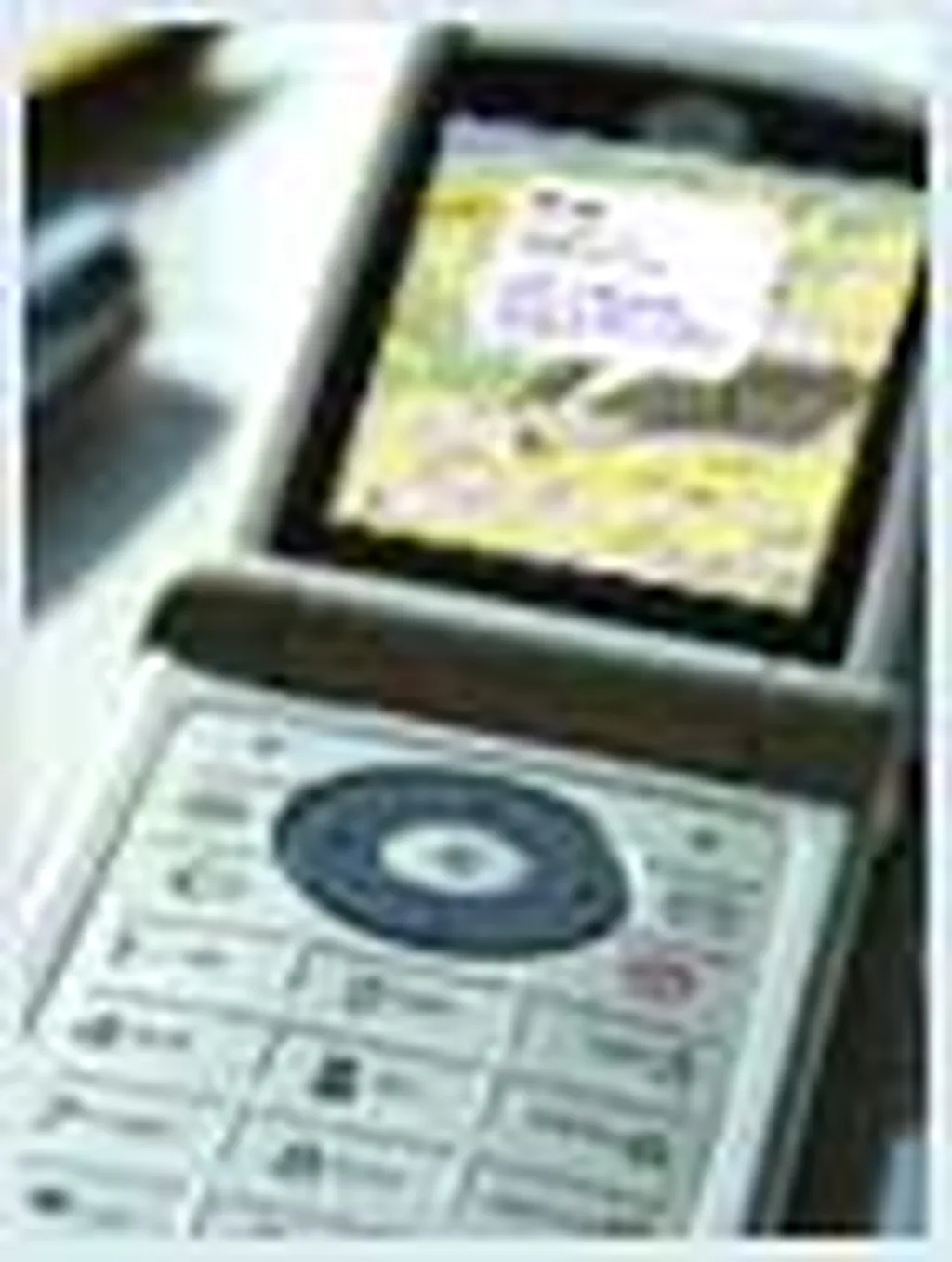 نقشه گوگل زنی را مجروح کرد