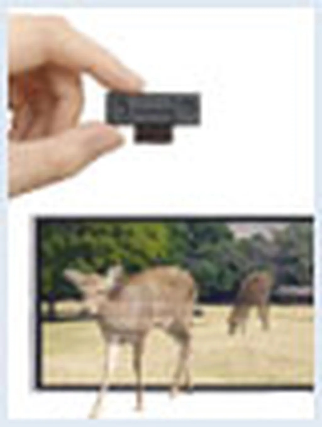 هوشمند سهبعدی شارپ جهانی میشود