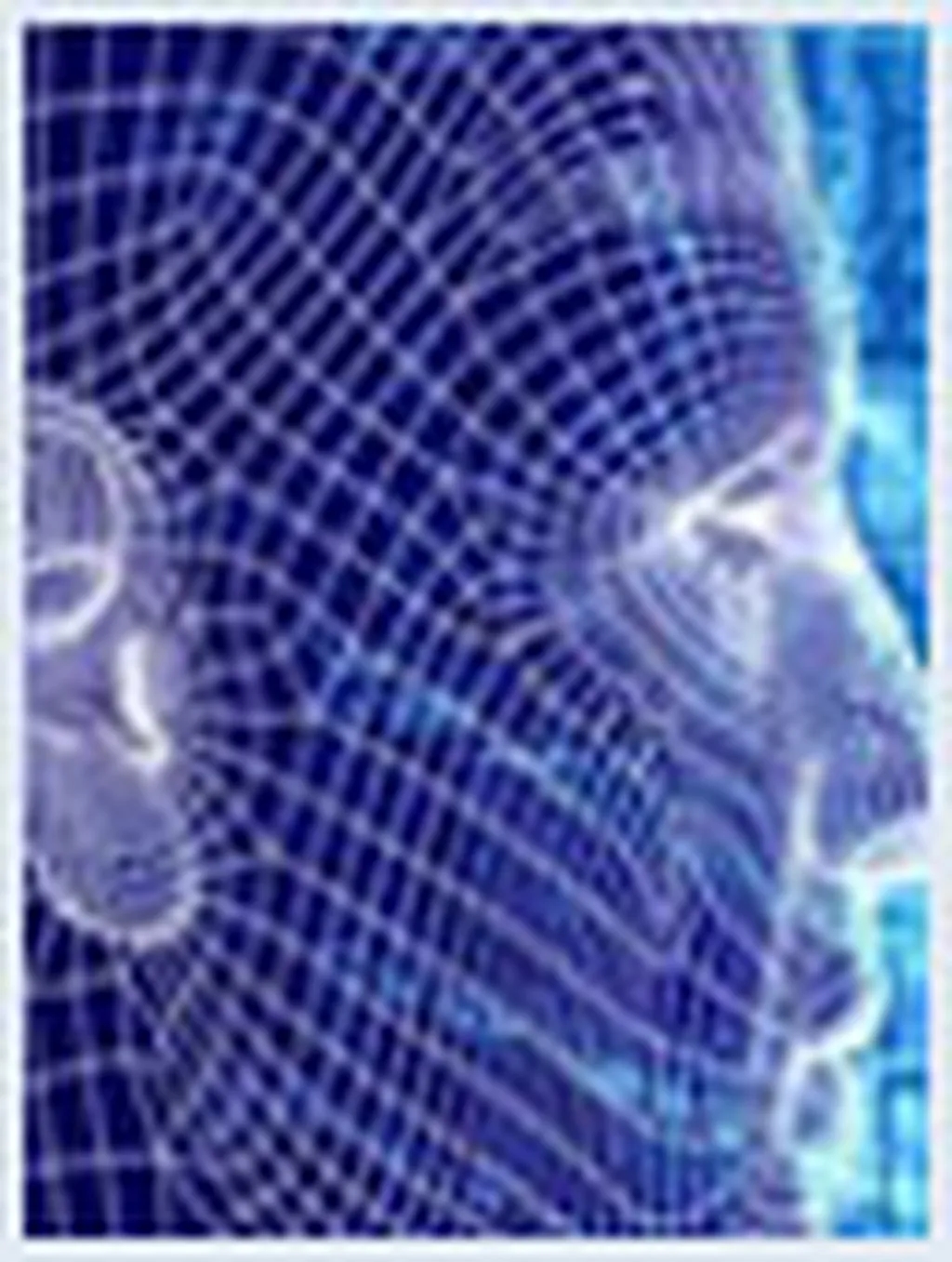 FaceR CredentialME، نرمافزار تشخیص چهره آنلاین