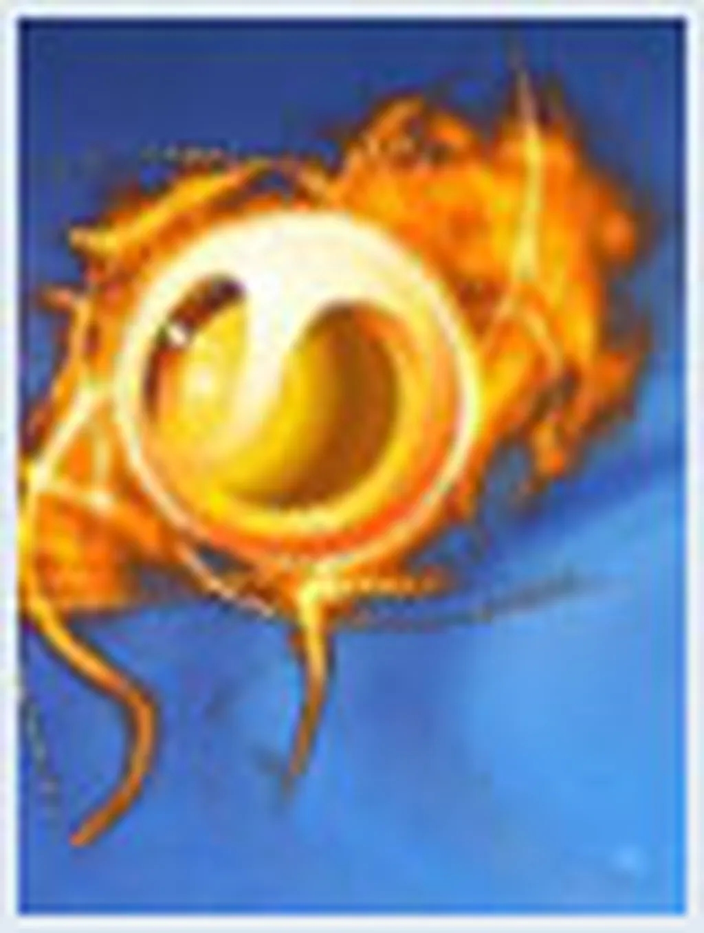 به زودی، عرضه XPERIA X8 از سونیاریکسون