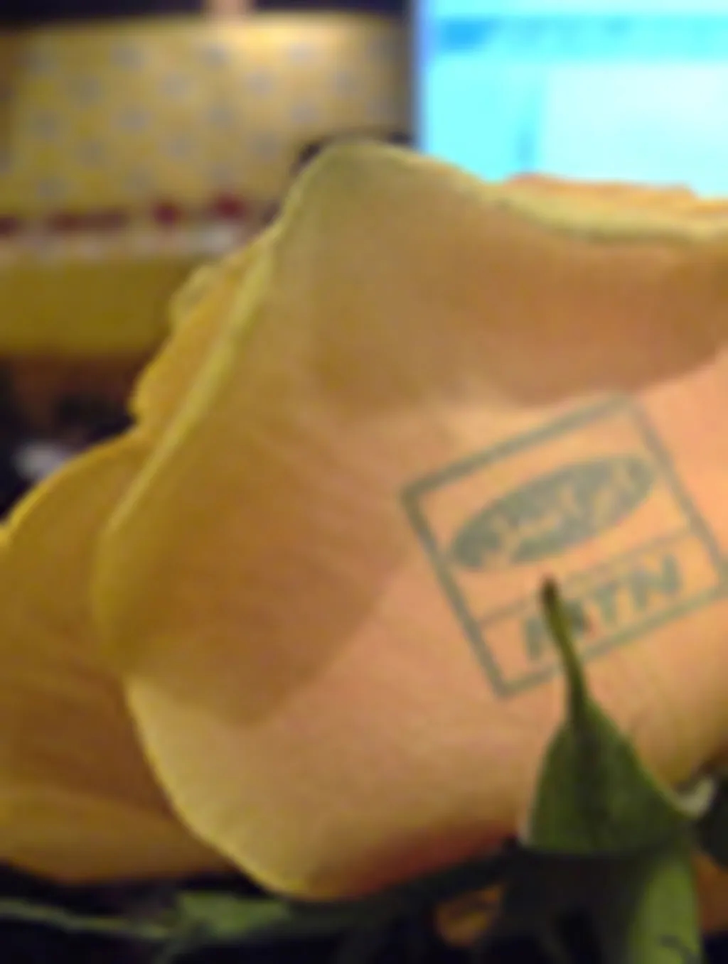 هفت سرویس جدید ایرانسل معرفی گردید