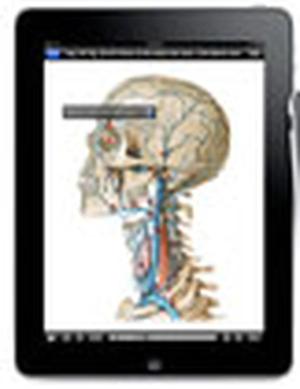 تبلتها، دستیاران هوشمند پزشکان