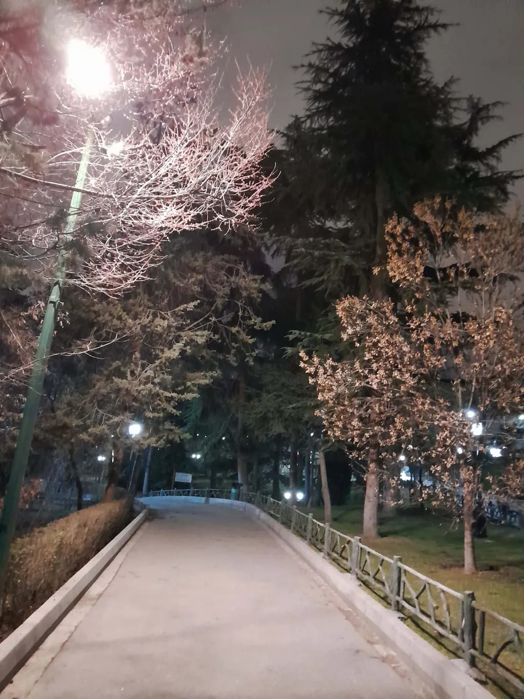 عکاسی نور شب جایی که گلکسی A14 4G ناامیدمان کرد