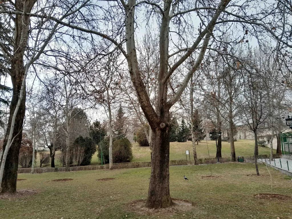 نمونه عکس گرفته شده با گوشی گلکسی A14 توسط تیم تخصصی جیاسام