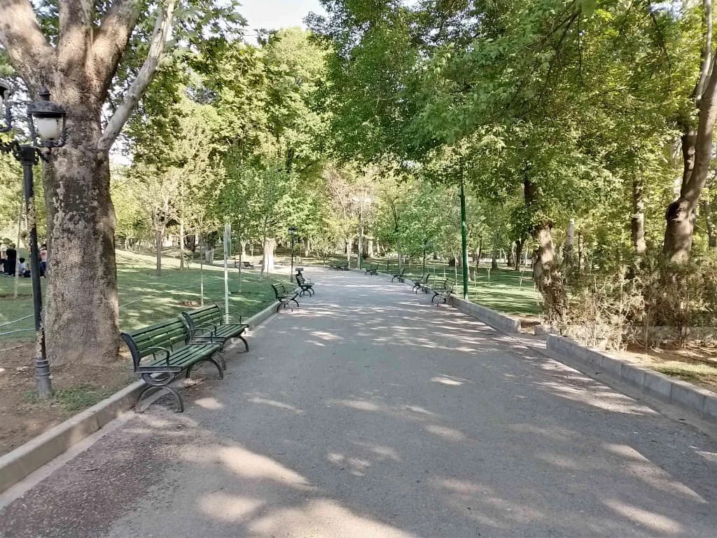 hmd pulse plus daylight image