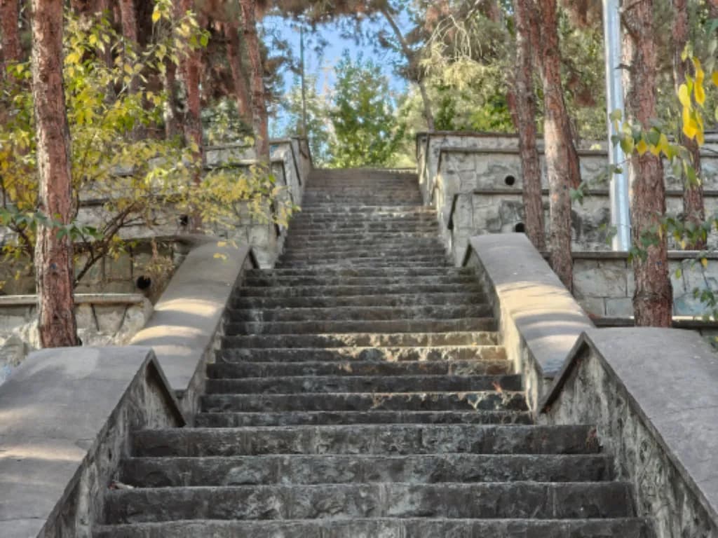 دوربین اصلی گوشی ناتینگ فون ۳