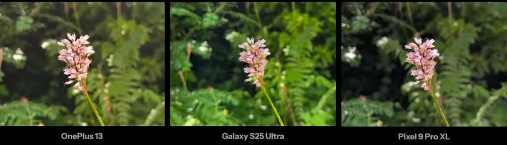 OnePlus 13 vs Pixel 9 Pro XL and Galaxy S25 Ultra