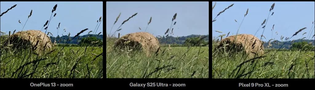 OnePlus 13 vs Pixel 9 Pro XL and Galaxy S25 Ultra