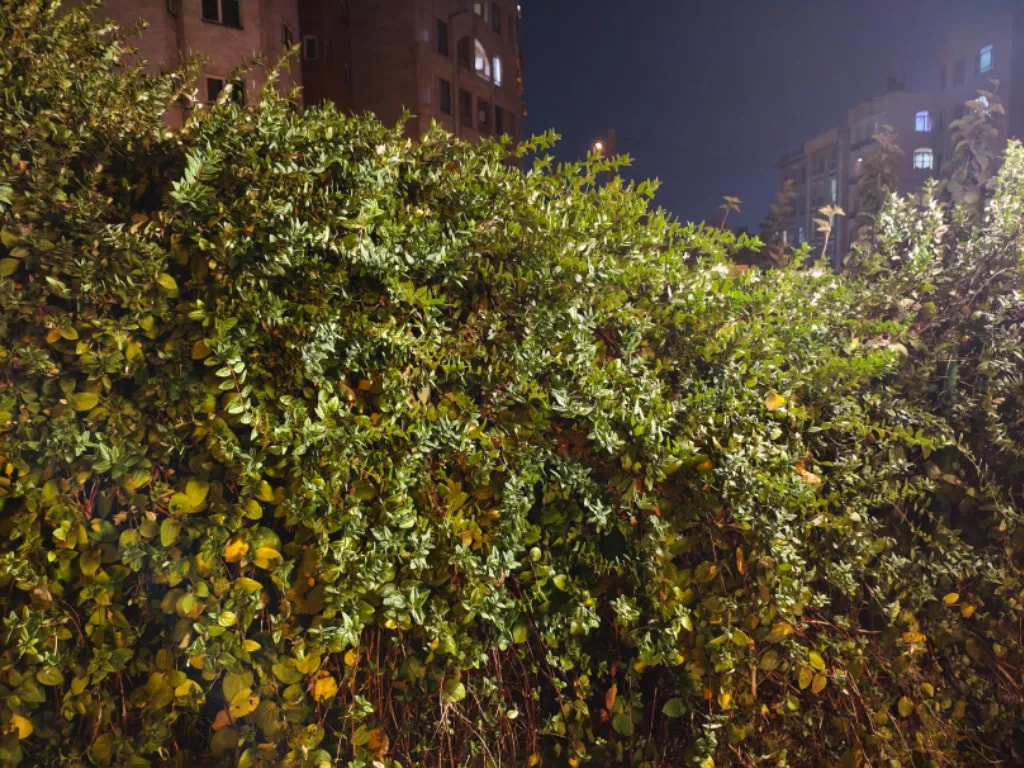 دوربین اصلی پوکو اف ۷ در شب