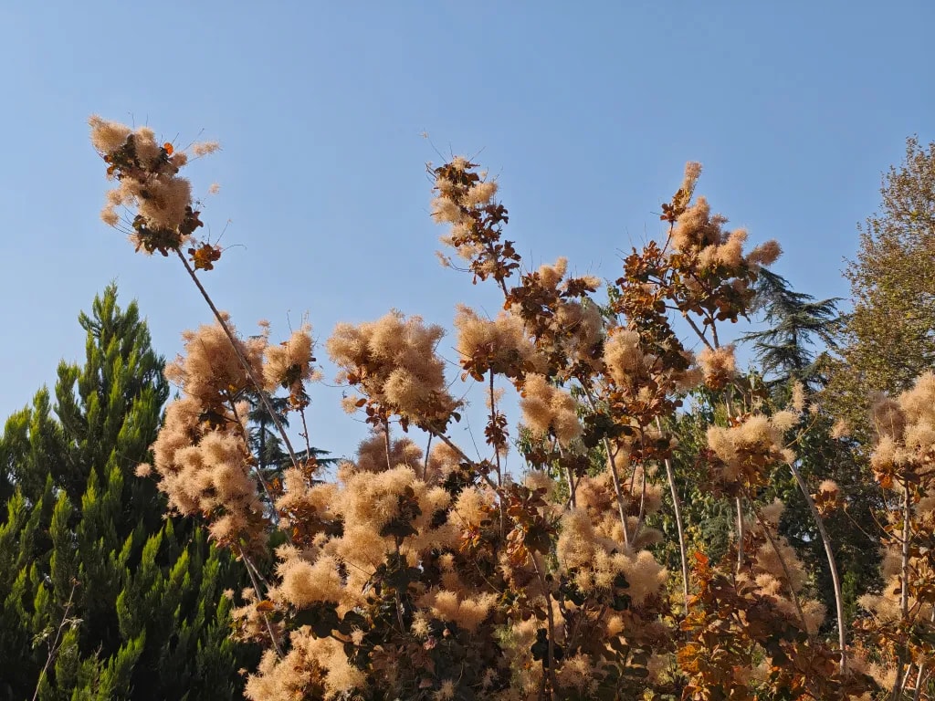 نمونه گرفته شده با دوربین اصلی پوکو اف ۷ پرو در روز