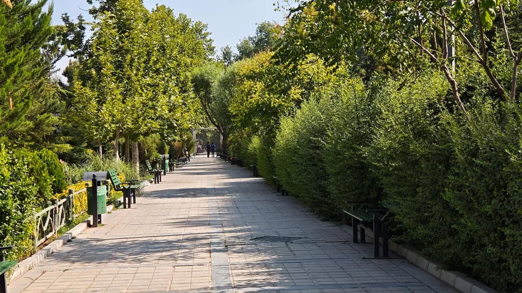 نمونه عکس شیائومی ۱۵ - دوربین تلهفوتو ۱