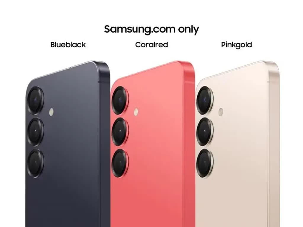 رنگهای اختصاصی سایت